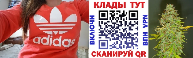Как найти закладки Алзамай Бошки Шишки  Псилоцибиновые грибы  omg как зайти  ГАШИШ  Мефедрон  СОЛЬ 