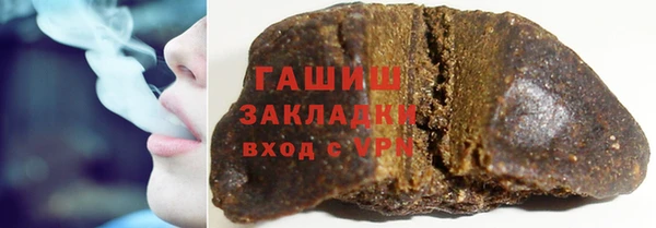 PSILOCYBIN Алзамай