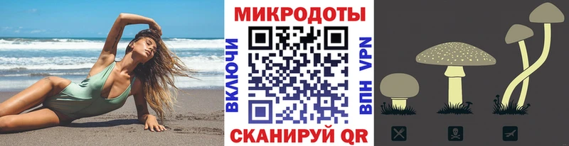 Галлюциногенные грибы Psilocybine cubensis  Алзамай 